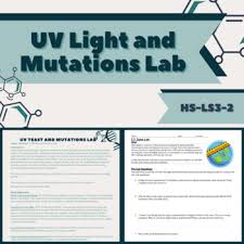 Mutation virtual lab worksheet answers. Mutations Lab Worksheets Teaching Resources Teachers Pay Teachers