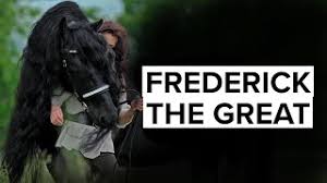 Although the conformation of the breed resembles that of a light draught horse, friesians are graceful and nimble for their size. Black Beauty Friesian Stallion Is The World S Most Handsome Horse Youtube