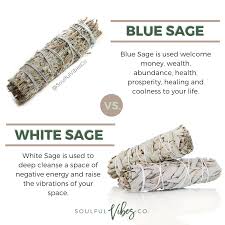 Blue Sage Vs White Sage Both Are Amazing And Serve Great Purposes But It S Important To Know The Difference For Your Spe Herbal Magic Spirituality Herbalism
