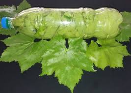 طریقه نگهداری برگ مو برای مدت طولانی دستور توسط somayye - کوکپد