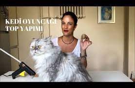 evde kedi oyuncagi yapimi kendin yap diy youtube kedi hayvan evcil hayvanlar