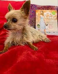 Alois Ochsenmeier Aloisochsenmeier Profil Pinterest