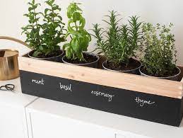 Not only do these miniature edible gardens look pretty, but they're functional as well and you can use the herbs fresh from the countertop! Diy Herb Garden Planter Fun365
