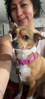 Family doctor recommendations for college students