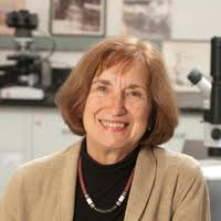 PDF) Outward Appearance versus Inward Significance: Addressing Identities  through Attire in the Ancient World, edited by A. Hallmann, ISAC Seminars  15, Chicago: Institute for the Study of Ancient Cultures, 2025