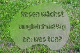 Natürlich kannst du während der gesamten gartensaison dein glück versuchen. Rasen Wachst Ungleichmassig An Was Tun