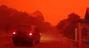 Budidaya porang banyak dibicarakan dikarenakan memiliki nilai ekonomi menjanjikan. Viral Langit Berwarna Merah Di Muaro Jambi Jpnn Com