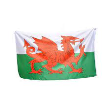 Y ddraig goch) на білому і зеленому фоні. Flag Uelsa Krasnyj Drakon Bolshogo Razmera Kupit Zakazat