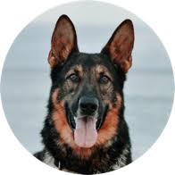 This list shouldn't be seen as a representation, guarantee, warranty, or evaluation of these organizations. Welcome