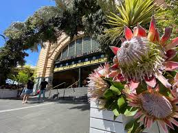 Premium wedding and event photography in melbourne. Abc Melbourne Melbourne Is In Bloom As Part Of A Plan Facebook