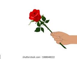 Hand holding flower drawing reference. Hand Holding Red Rose Leaves Isolated Stock Vector Royalty Free 1088048222
