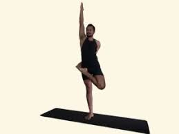 Ardha Baddha Padma Vrikshasana Half Bound Lotus Tree Pose Tree Pose Poses Lotus Pose