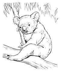 Set coloring the cute cartoon koala. Koala Coloring Pages 100 Pictures Free Printable