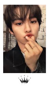 stray kids lee know photocard all in lee know crazy kids minho