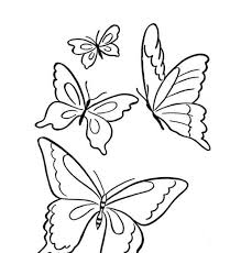 Download Butterfly Four Butterflies Flying On The Park Coloring Page Download To Draw Butterfl Butterfly Coloring Page Butterfly Printable Butterfly Drawing Animal form in trendy outline.
