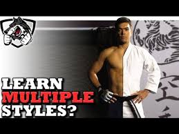 What type of martial arts should i learn. Can I Learn More Than 1 Martial Art At A Time Youtube