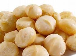 Macadamia nut cultivation type : Macadamia Nut Products Malaysia Macadamia Nut Supplier