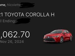 Fundraiser by Nicolette Dee : Struggling After Losing Three Beloved Dogs