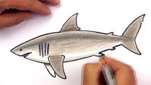 We did not find results for: How To Draw A Realistic Great White Shark Art Club Members Shark Art Great White Shark Drawing Shark Drawing