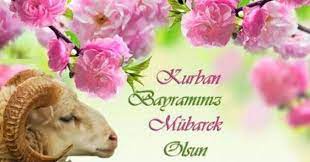 Bu yazımızda siz değerli okuyucularımız ile birlikte kurban bayramı resimli mesajlar ile alakalı olarak detayları çok daha yakından inceleyerek fikir sahibi olmanıza yardımcı olacağız. Bayram Mesajlari 2019 Kurban Bayrami Resimli Bayram Tebrik Mesajlari Son Dakika Flas Haberler