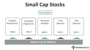 What Are Small-Cap Stocks? (2024) Complete Guide