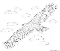 How To Draw A Golden Eagle Step By Step Drawing Tutorials Eagle Drawing Drawing Tutorial Golden Eagle