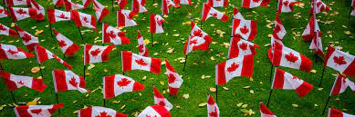 People who think they are buying brand name drugs from canada may be. Ordering Brand Name Drugs From Canada Is Cheaper For Generic Meds It S Often The Opposite Pharmacychecker Com