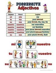 Spanish Possessive Adjectives Grammar Notes Spanish