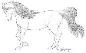 Rearing appalooshorse coloring pages to color, print and download for free along with bunch of favorite appalooshorse coloring page for kids. Realistic Friesian Horse Coloring Pages Coloring Pages For Horse Are Available Below Jantonio Ferreira