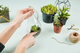 How to make hanging garden at home. How To Make A Hanging Garden