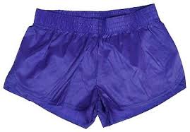 Purple Shiny Short Nylon Shorts By Soffe Size Xl 18 95