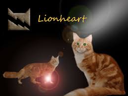 Explore stunning warrior cats wallpapers, created by theotaku.com's friendly and talented community. Warrior Cats Wallpapers Top Free Warrior Cats Backgrounds Wallpaperaccess