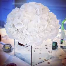 It's no secret i keep fresh flowers in my home at all times. Luxury Mirrored Cubes Of Pure White Hydrangeas Jane Maples Flowers
