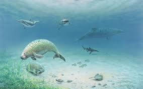 Miocene B Scheffold Prehistoric Creatures Animals Artwork Extinct Animals