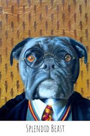 Is Your Dog A Wizard Commission A Custom Hairy Err Harry Potter Pet Portrait By Splendid Beast Pet Portraits Custom Pet Portraits Dog Portraits