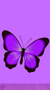 Black And Purple Butterfly Wallpaper Pin By Trish Bartup On Butterfly Wallpapers Pink And Black Wallpaper Butterfly Background Butterfly Wallpaper
