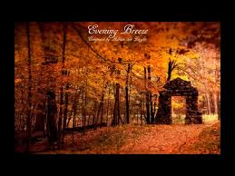 Muzica De Relaxare