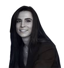 Business Litigation Lawyer