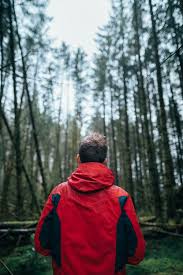 Check spelling or type a new query. 200 000 Best Male Back Photos 100 Free Download Pexels Stock Photos