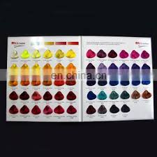 book form hair dye color chart for professional hair color