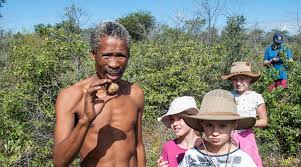 Image result for Walleria nutans