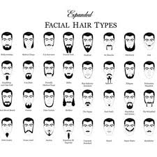 Full beard, balbo beard, chin strap and moustache combo 6. Facial Hair Styles Every Man Should Know Oye Times