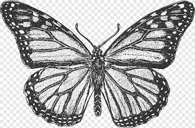 Color in this picture of a butterfly and share it with others today! Monarch Butterfly Coloring Book Colouring Pages Insect Butterfly Child Brush Footed Butterfly Png Pngegg
