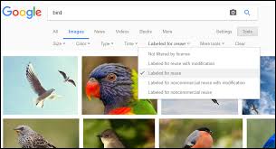 The best free stock image sites all meet the following criteria: 10 Best Royalty Free Websites With High Resolution Stock Photos Images And Pictures