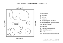 Chemistry Of Essential Oils Why The Functional Group Theory