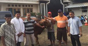 Ldii Depok Kurban 586 Ekor Sapi Kambing Inilahdepok Id