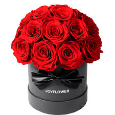 Amazon.com: JoyFlower Preserved Flowers Box for Her, Mothers Day Forever  Flowers Red Rose Gift for Mom Grandma, Long Lasting Eternal Roses for Wife  Girlfriend on Birthday Anniversary Valentines Day Christmas : Home