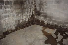 Often, this is an indicator that mold or mildew is present and causing the smell. Basement Waterproofing 10 Tips You Need To Know