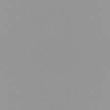 Image result for Radiant Silver 1984 Fleet