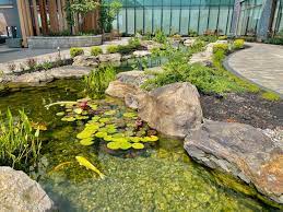 The bungee cord helps keep the batting in place, although once it's wet, it pretty much stays in place on its own. 10 Ways To Keep Pond Water Naturally Clear Splash Supply Company
